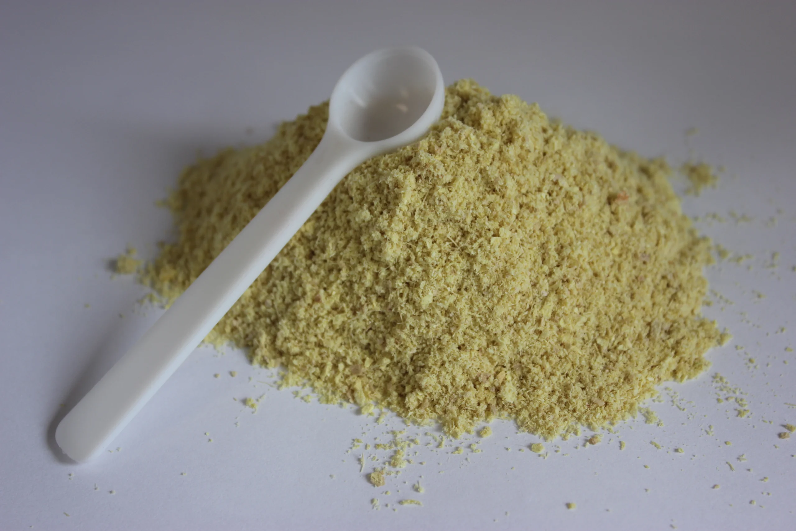 Culinary Use of Ginger Powder